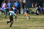 C-Elephants  0036_resize